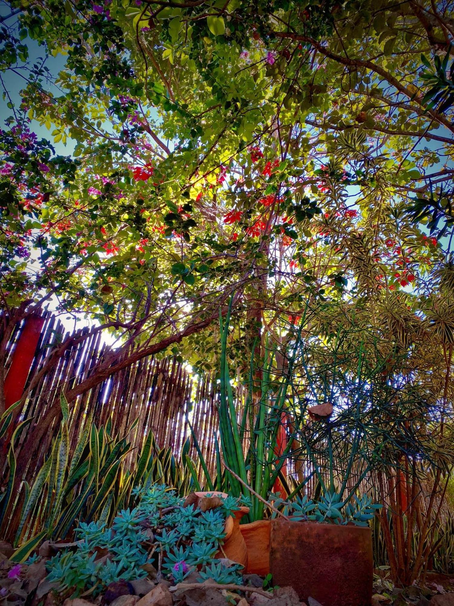 Pousada Jardim De Minas Serra do Cipo National Park Exterior foto